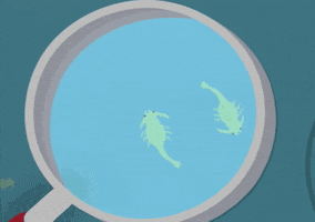water fish GIF by South Park 