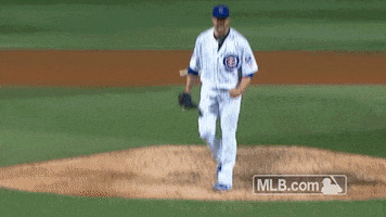 Chicago Cubs Yes GIF by MLB