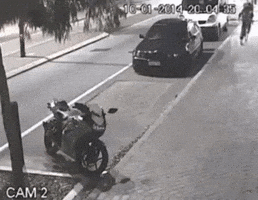 thinhnt27  GIF