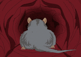 tunnel rat GIF by South Park 