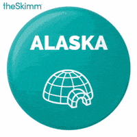 register to vote 2016 election GIF by theSkimm