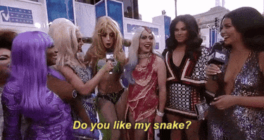red carpet do you like my snake GIF by 2017 MTV Video Music Awards