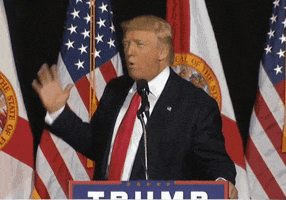 norton28 donald trump donald trump gif trump in tampa donald trump action GIF