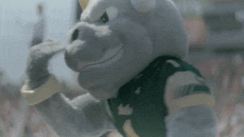rocky the bull GIF by USF Athletics
