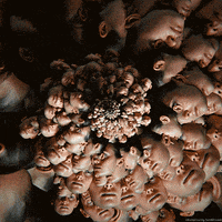 fractal death GIF by adampizurny