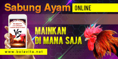 selvisilvia bolavita-sabung-ayam-android GIF