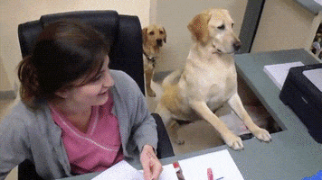 dog aww GIF by JustViral.Net