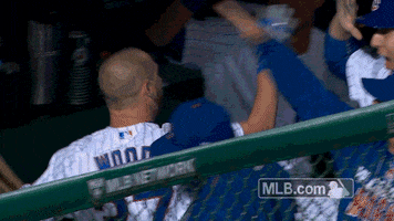 High Five Chicago Cubs GIF by MLB