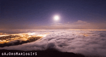 enote  GIF