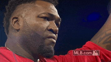 red sox crying GIF by MLB