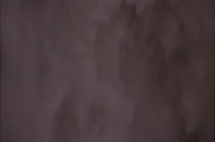 200.gif?cid=fc005b0857545ef1b4b8720cd53e9c70d26be42083dcf915&rid=200.gif&ct=g