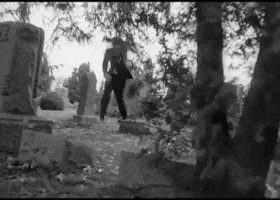 night of the living dead zombie GIF
