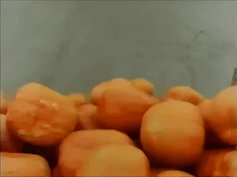 Ashley Olsen Dynia GIF