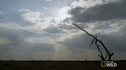 静かな風景 今日のgif 静かな風景 今日のgif