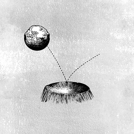 Carl Hanser Verlag GIF