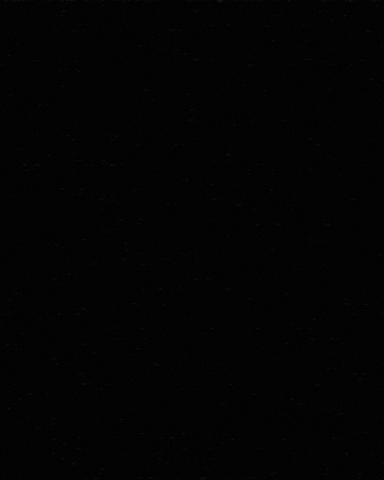 Animation Loop GIF by teckella