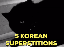 Korea Superstitions GIF