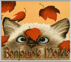 passager-du-temps  GIF