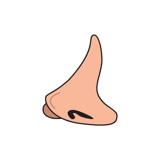 Nose Smell Sticker by Carolyn Figel for iOS & Android GIPHY