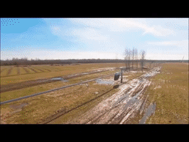Money Lol GIF