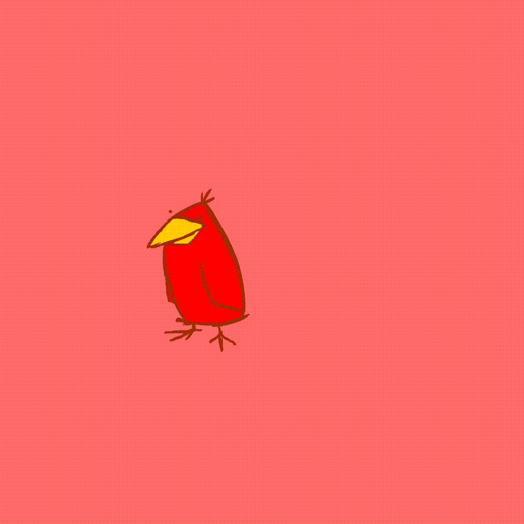 Cardinalbirdsflying GIFs Find & Share on GIPHY