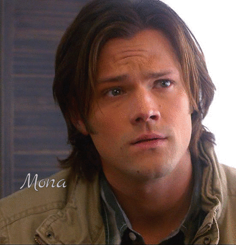 sammy supernatural 6.15 the french mistake GIF