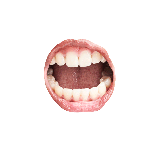 Teeth Talking Sticker by Justin Gammon for iOS & Android GIPHY