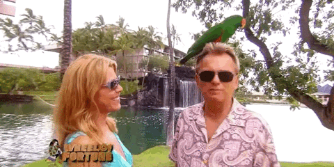 Pat Sajak GIF by Wheel of Fortune - Find & Share on GIPHY