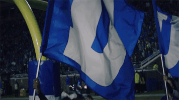 Excited Football GIF by Duke Athletics