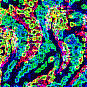 balazsvarga trippy psychedelic color action GIF