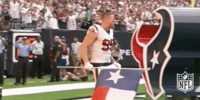 houston texans football GIF by NFL