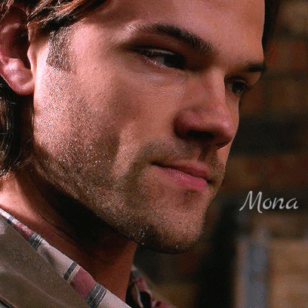 sammy  GIF