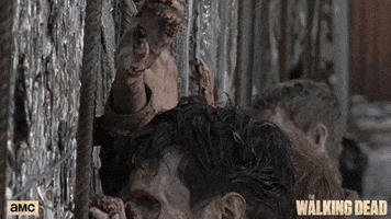season 8 zombie GIF by The Walking Dead