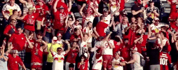 fans support GIF by New York Red Bulls