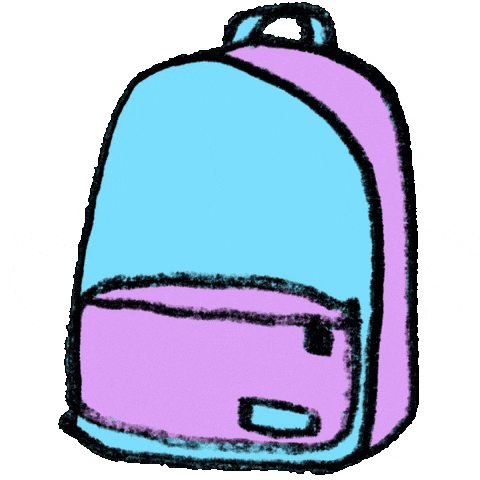 back bag meaning, definitions, synonyms