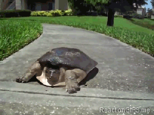 source.gif