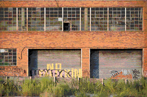 House Music GIF by Mean Red 