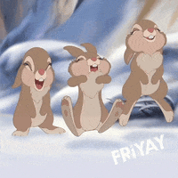 Celebrate Its Friday GIF by telenet