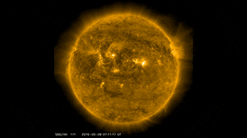 sun nasa GIF by NASA's Goddard Space Flight Center