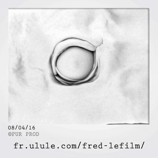 purprod #fred #purprod #vincentjoubert #roxan GIF