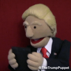 thetrumppuppet excited text trump phone GIF