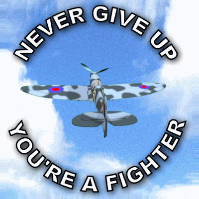 Never Give Up GIF