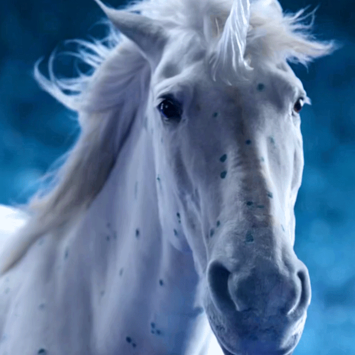 Blinking Like A Boss GIF by Feliks Tomasz Konczakowski