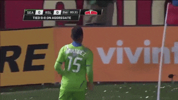 Goal Celebration GIF