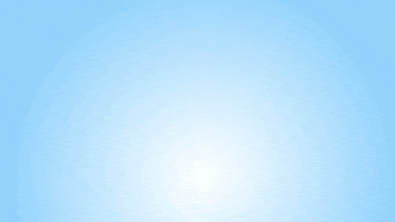 wild  GIF