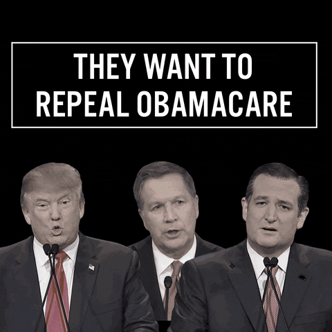 democrats  GIF
