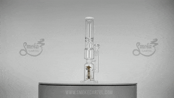 smokecartel dog trippy flower green GIF