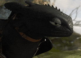 cohen  GIF