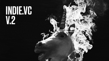bryce unicorn startups indievc GIF