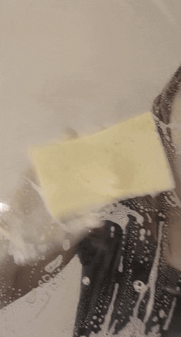 Soap Surface GIF by emily belshaw